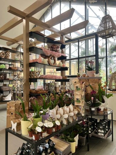 Plantula Amedorf - Verkaufsräume Blumenstand mit verschiedenen Pflanzen und Töpfen in einem gut beleuchteten Raum.